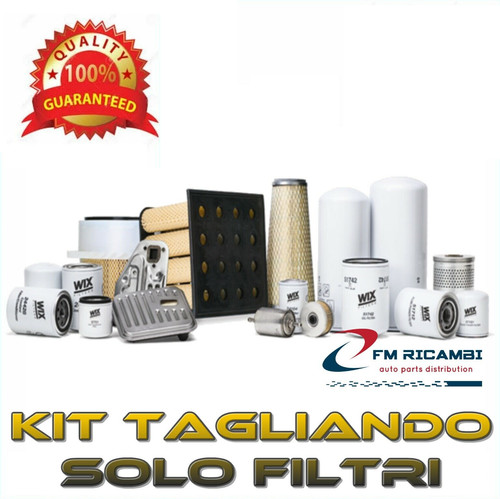 Kit tagliando solo filtri per - solo,